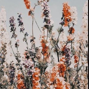 Meet your Posher, Lelia